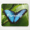 Search for morpho electronics Butterfly