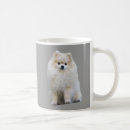 Search for pomeranian mugs Poms