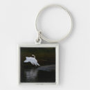 Search for trumpet key rings Bird