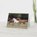 Search for bob cards Animal