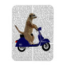Search for meerkat magnets Antique
