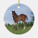 Search for thoroughbred horse christmas tree decorations Standing