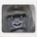 Search for gorilla mousepads Zoo