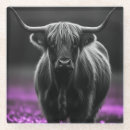 Search for herd coasters Animal