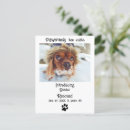 Search for new puppy announcement postcards Cute