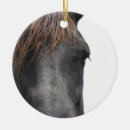Search for equine christmas tree decorations Dressage
