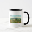Search for california vineyard mugs States
