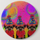 Search for poo badges Yorkshire terriers