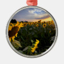 Search for sunflowers christmas tree decorations Farm