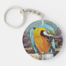Search for macaw key rings Pet