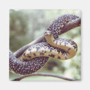 Search for speckles magnets Animal