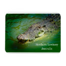 Search for crocs magnets Australia