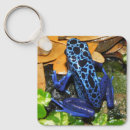 Search for darts key rings Animal
