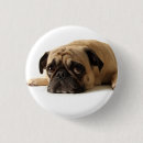 Search for sad animal badges Puppy