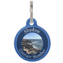 Search for photo pet tags Puppy