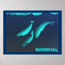 Search for marine mammals posters Arctic