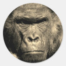 Search for gorilla stickers Wild animal