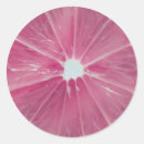 Search for citrus stickers Pink