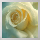 Search for vector image White