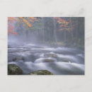 Search for moose postcards Landscape