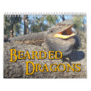 Search for bearded dragon gifts Lizard