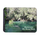 Search for manatee magnets Florida