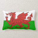 Search for welsh dragon cushions Flag