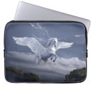 Search for pegasus electronics White