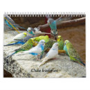 Search for budgie bird office supplies Animal