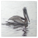 Search for pelican tiles Water