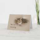 Search for moving boxes invitations Cat