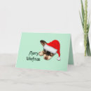Search for black dog christmas cards Chihuahua