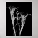 Search for x ray skeleton posters Cool