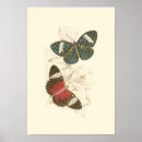 Search for vintage insect art Antique
