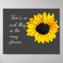 Search for sunflower quote posters Photography