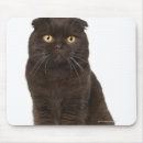 Search for folding mousepads Cute