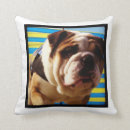 Search for british bulldog cushions English