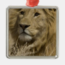 Search for mcdonalds christmas tree decorations Wildlife