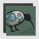 Search for new zealand magnets Paua