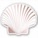 Search for pretty seashells Girly
