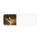 Search for sheltie return address labels Collie