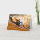 Search for cougar cards Lion