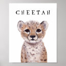 Search for cute cheetah Safari