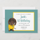 Search for puppy 1st birthday invitations Blue