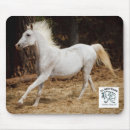 Search for equine mousepads Rescue