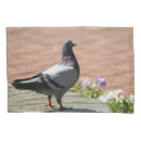 Search for photograph pillowcases Image