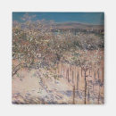 Search for apple tree magnets Blossom