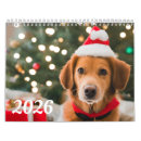 Search for pet gifts Puppy