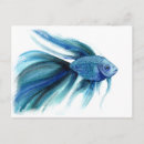 Search for betta postcards Blue
