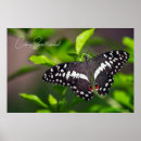 Search for beautiful garden posters Vintage